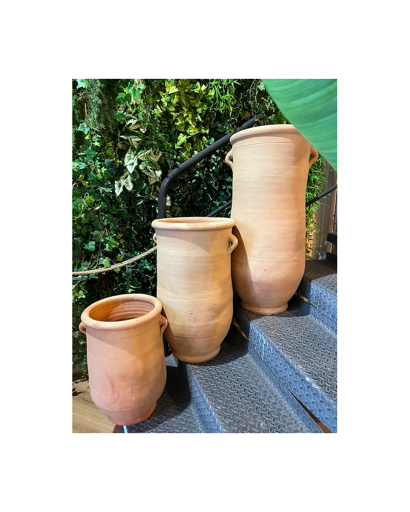 Fiji Jars