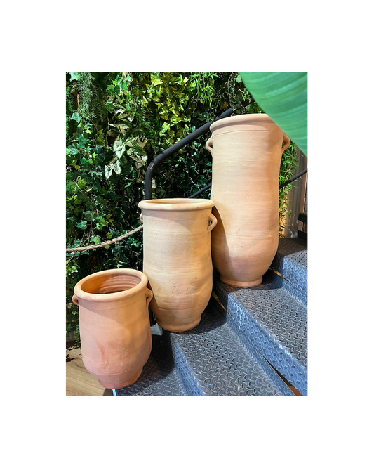 Fiji Jars